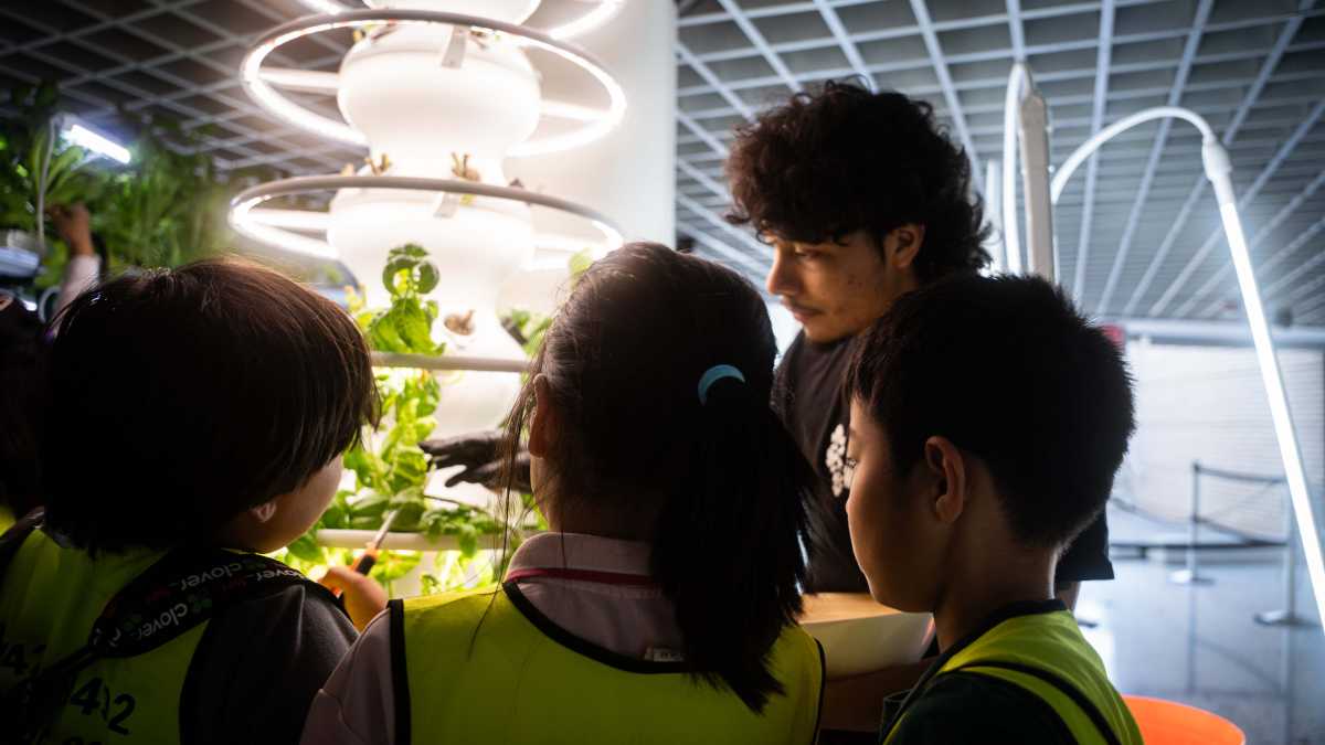 Children harvest plants at the hydroponics lab at New York Hall of Science. Photo courtesy of NY Sun Works/New York Hall of Science.