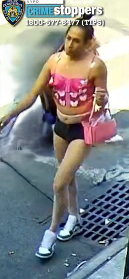 One suspect who is sought for allegedly beating and robbing a woman during a mugging in Jackson Heights more than a month ago.