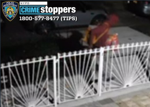 Gurley was seen on surveillance video dragging the lifeless dog by the leash along 116th Avenue. 