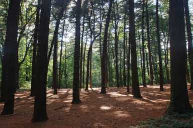 23048-e1501859794459