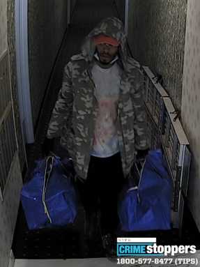 2534-20-Burglary-109-Pct-07-26-20-Photo