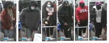 689-21-QTRS-115-Pct-TD20-03-14-21-Photo