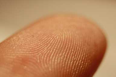 800px-Fingerprint_detail_on_male_finger_in_Trebic_Trebic_District