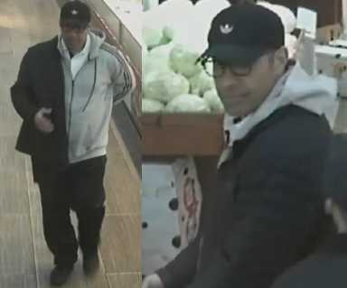 955-18-Grand-Larceny-109-Pct-03-28-18-PHOTO2