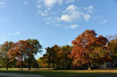 Alley-POnd-park-700×466-1