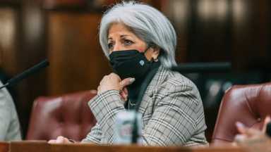 Councilwoman-Paladino-2
