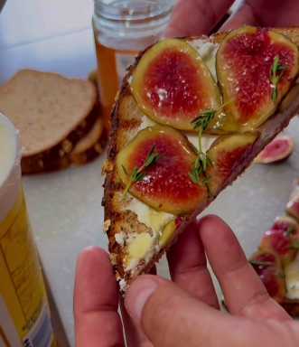 fig festival