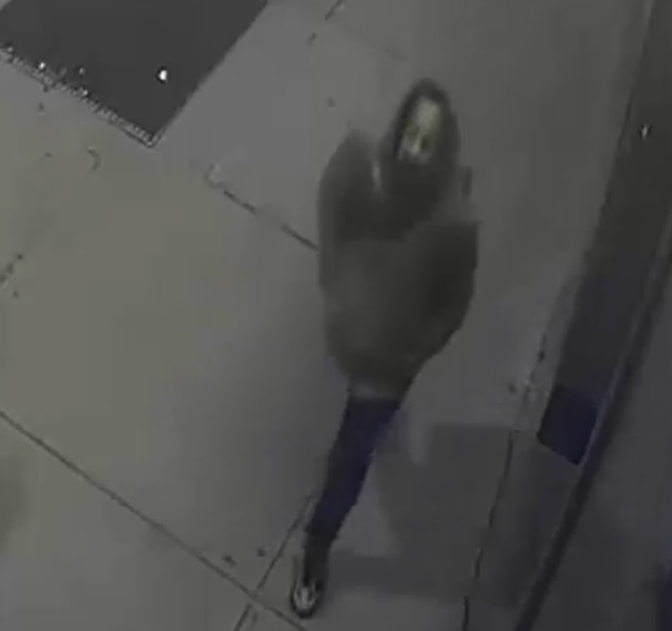 Flushing-Crime-012221