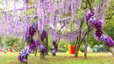 Image-provided-by-Laila-Ahmed-2