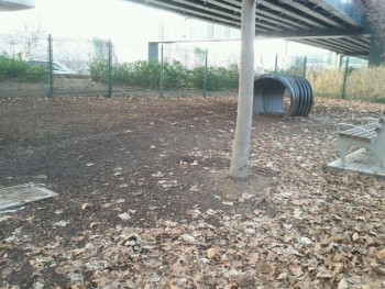 Dog run in Jackson Heights