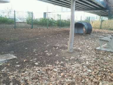 Jackson-Heights-dog-run