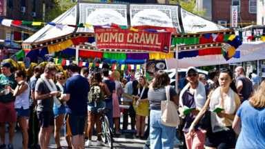 MOMO-Crawl-2019