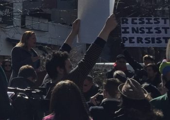 Markviverito-350×247-1