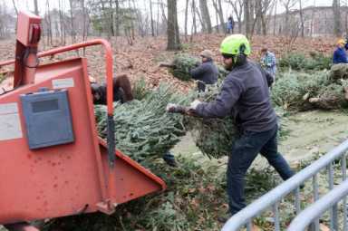 MulchFest