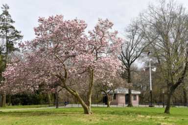 Parks-Dept.-700×466-1