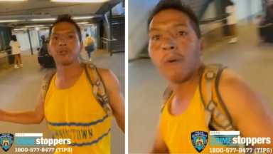 Photos-NYPD-2_3b5ddd