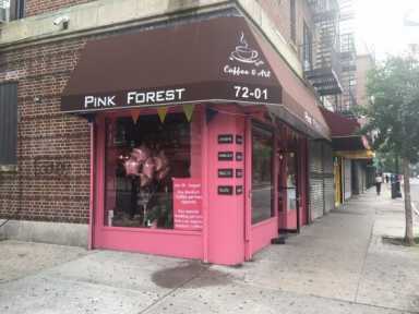 Pink-Forest-e1502391707798