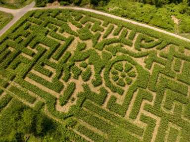 QueensCountyFarmMaze2022-4a-1