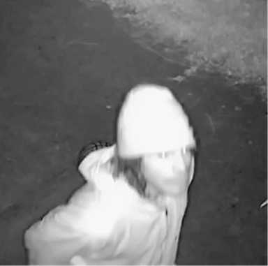 RMA-1530-17-115-Pct-Burglary-6-9-17-Pic-2