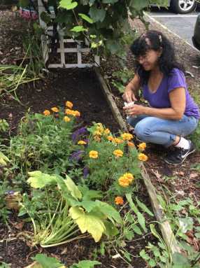 Screen-Shot-2019-05-01-at-6.29.31-PM