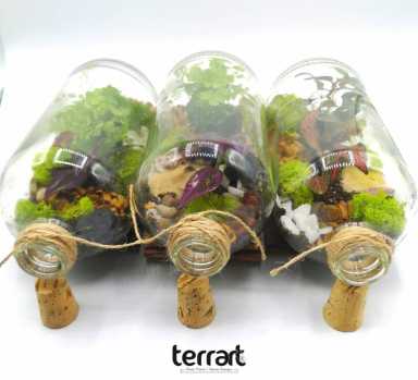 TerraArt4