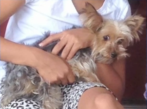 Linda (Source NBC New York)