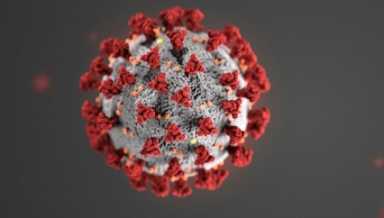 coronavirus-e1583359295797