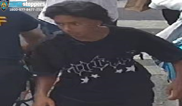 elderly-woman-purse-snatching-flushing01