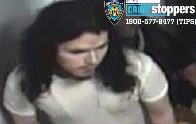 Cops from the 103rd Precinct in Jamaica are searching for this gunman who opened fire from a rooftop at the South Jamaica Houses NYCHA development on Aug. 5.