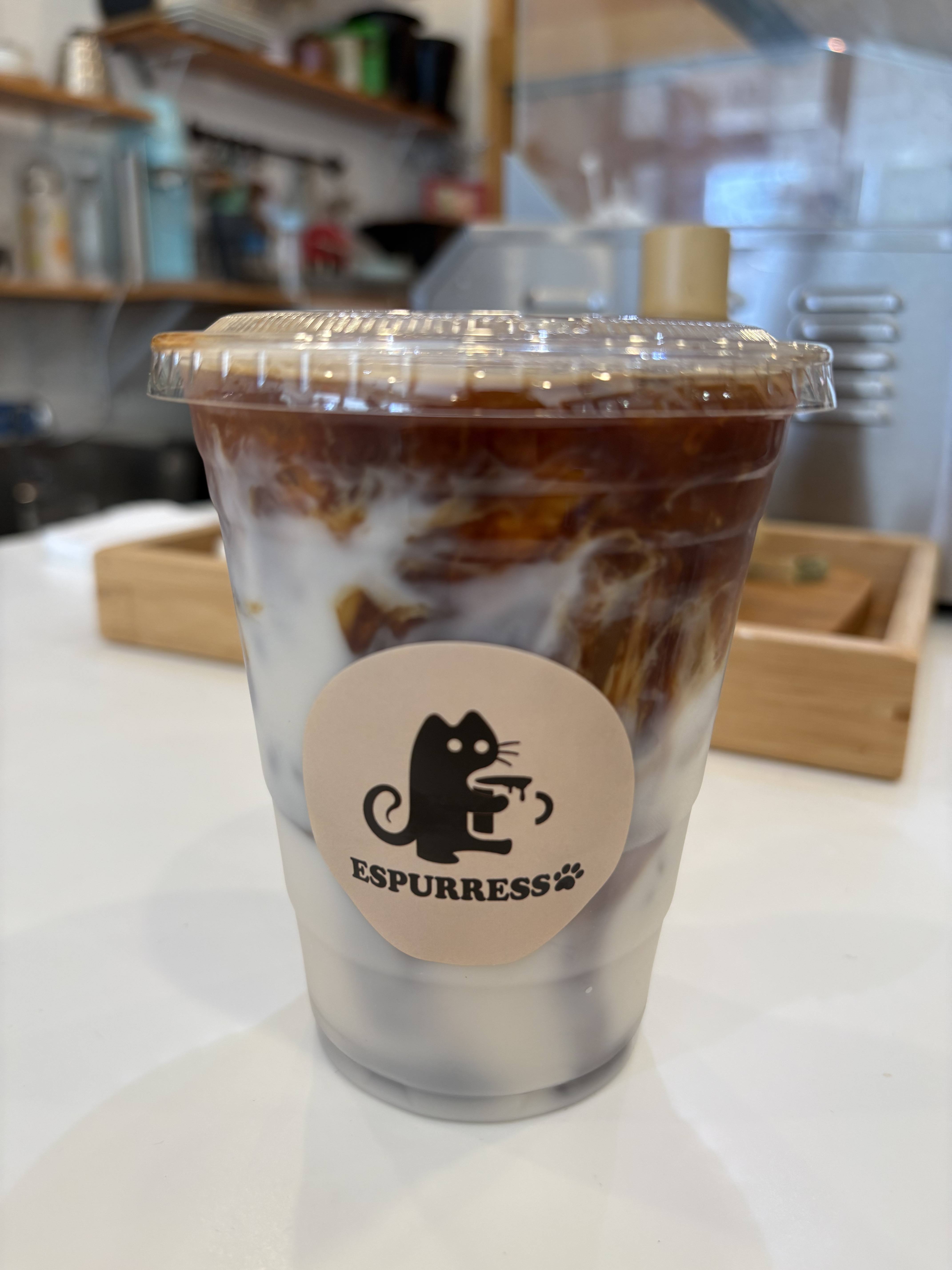 A refreshing iced coffee at Espurresso Cat Cafe in Bayside.