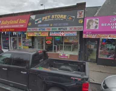 petStore
