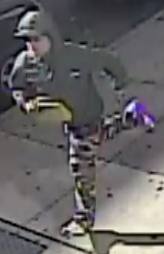 suspectelderlylady