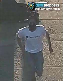 Cops are looking for the suspects who allegedly stole a half dozen mopeds from their owners, often at knifepoint, since June.