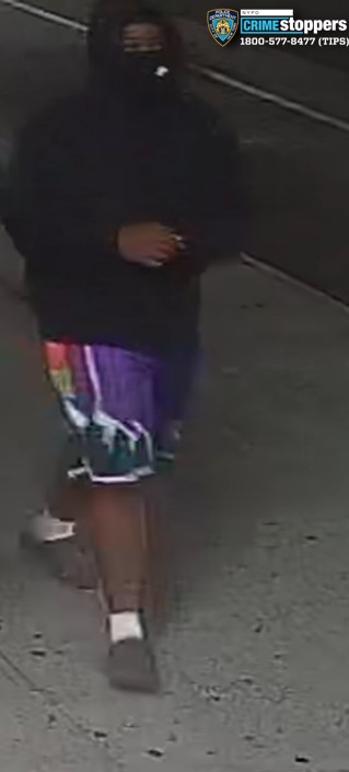 Cops are looking for the suspects who allegedly stole a half dozen mopeds from their owners, often at knifepoint, since June.