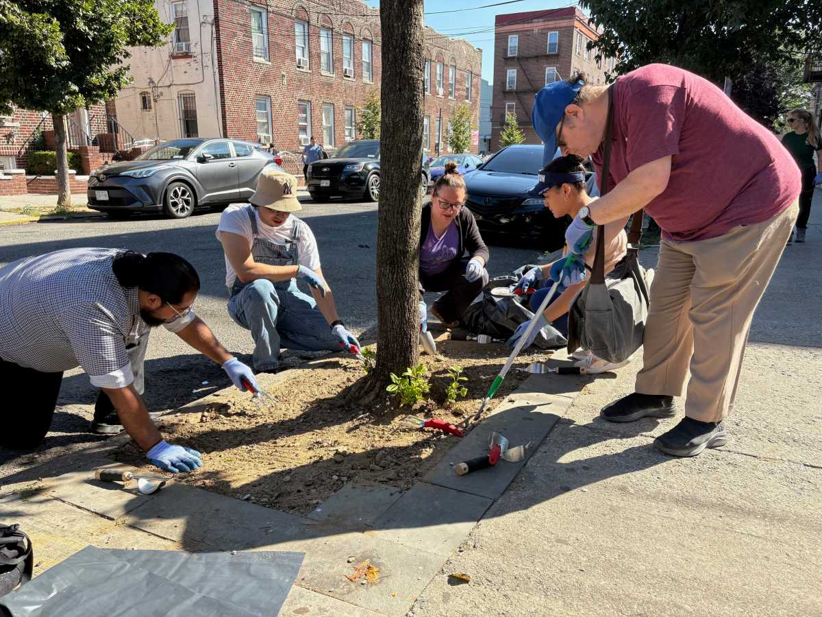 Local residents clean street beds during Street Tree Care Day in Corona. Photo: Corona Mutual Aid.