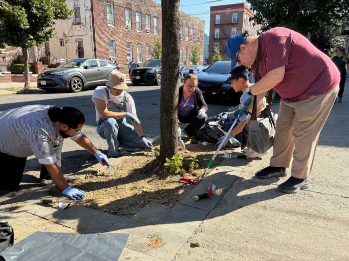 Local residents clean street beds during Street Tree Care Day in Corona. Photo: Corona Mutual Aid.