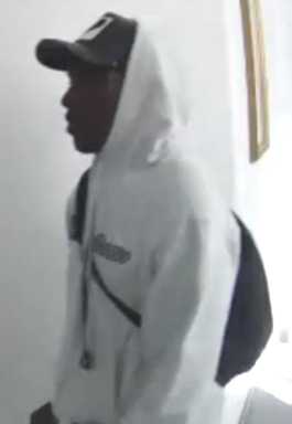 108-PDU-Burglary-10-31-16-photo3