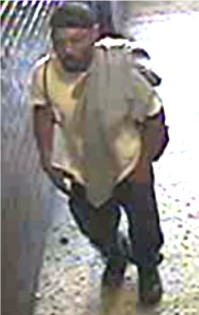 1909-16-114-Pct-Grand-Larceny-6-24-16-photo-1