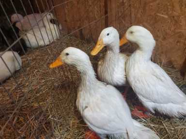 271914854_2159190510899624_8094947511931916917_n