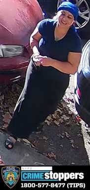 2927-23-Grand-Larceny-108-Pct-10-17-23-Photo-1