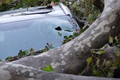 50189908258_d924715a21_k