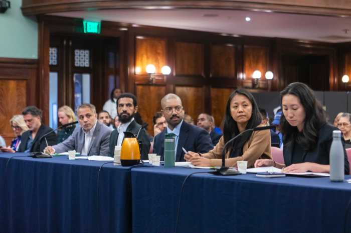 City representatives testify at Wednesday's hearing. Photo: Emil Cohen/NYC Council. 