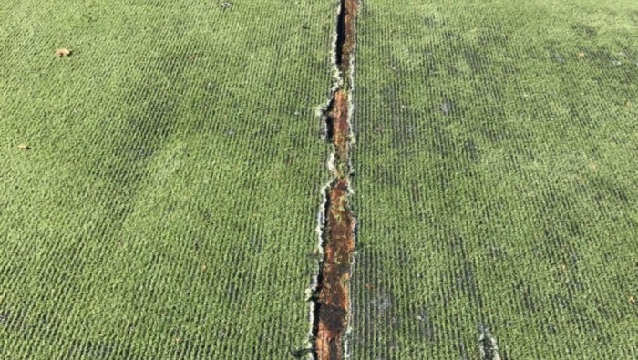 The field is in a state of disrepair (Photo: GoFundMe)