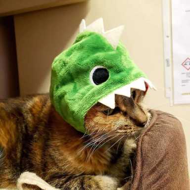 72763917_10156726054003325_2921435582213128192_n