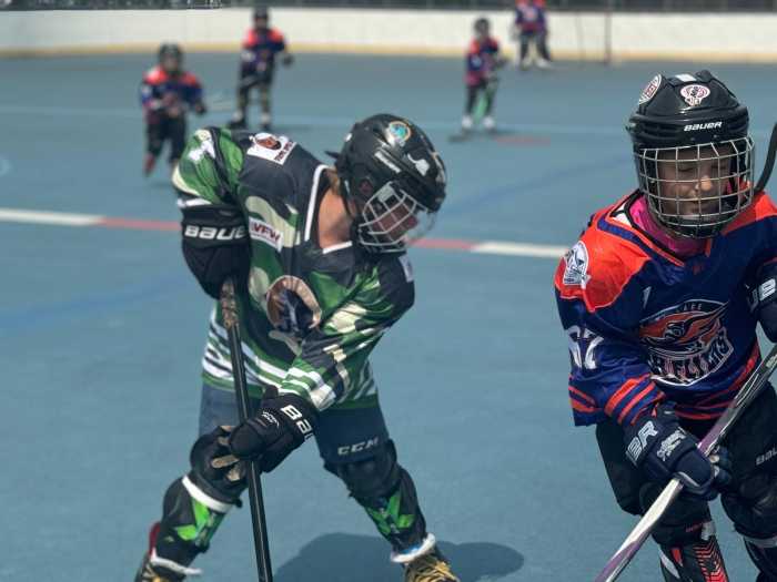 hockey
