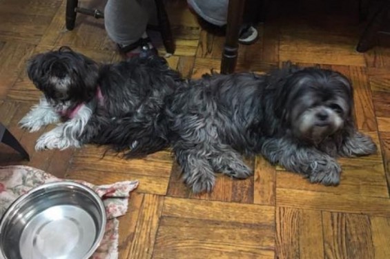 9960371_1458233749.7352-e1458323468949