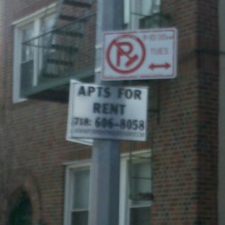 Apartments-for-rent1-250×250-1