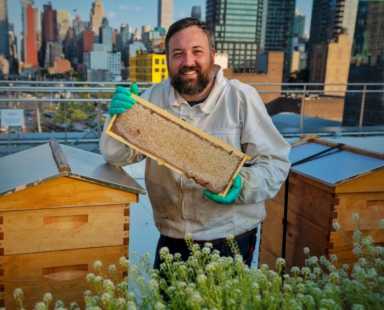 AstorApiaries_NickHoneyFrameJavitsCenter_creditMichaelKaminski-700×566-1