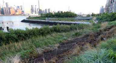 Burned-grass-at-Hunters-Point-Photo-provided-by-Mark-Christie
