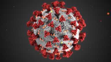 Coronavirus_c96586